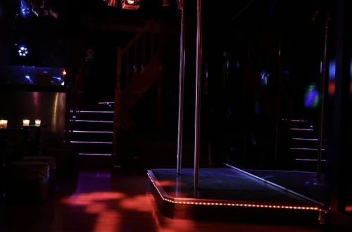 Salle de l'Orchidée noire avec barre de pôle dance