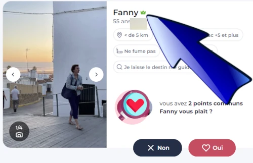 membre premium Disons Demain pour envoyer des messages gratuitement