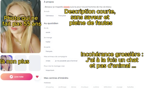 exemple de faux profil Disons Demain avec explications 